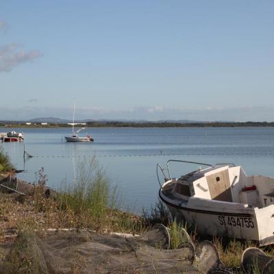 Bateaux Etangdelor