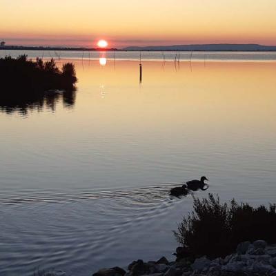 Coucher De Soleil Etang De Perols