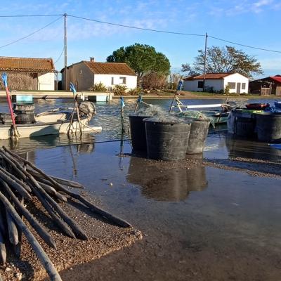 Port Perols 24decembre2025 22