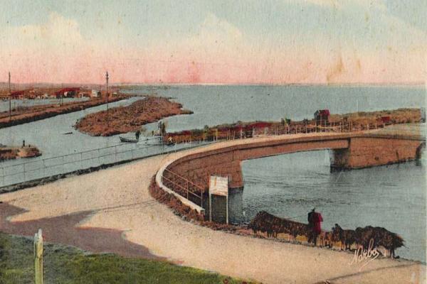 Vue aérienne de Carnon